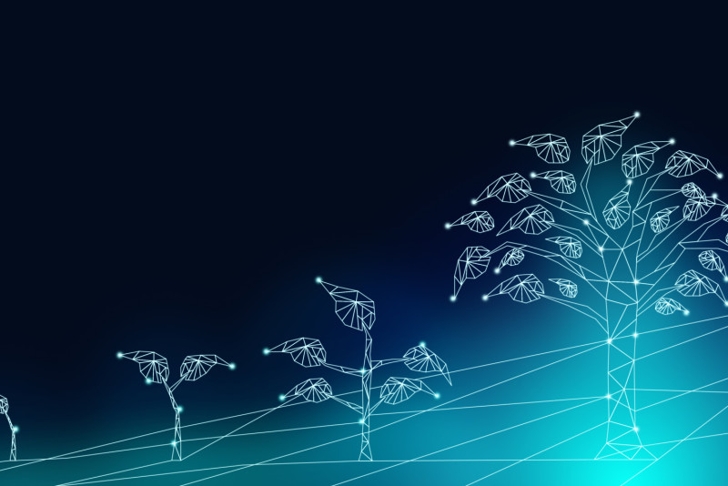 chan2545_adobestock_271408310