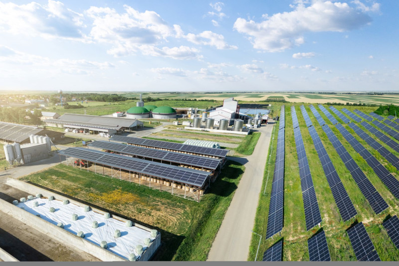 scharfsinn86_adobestock_1914294399_bearbeitet